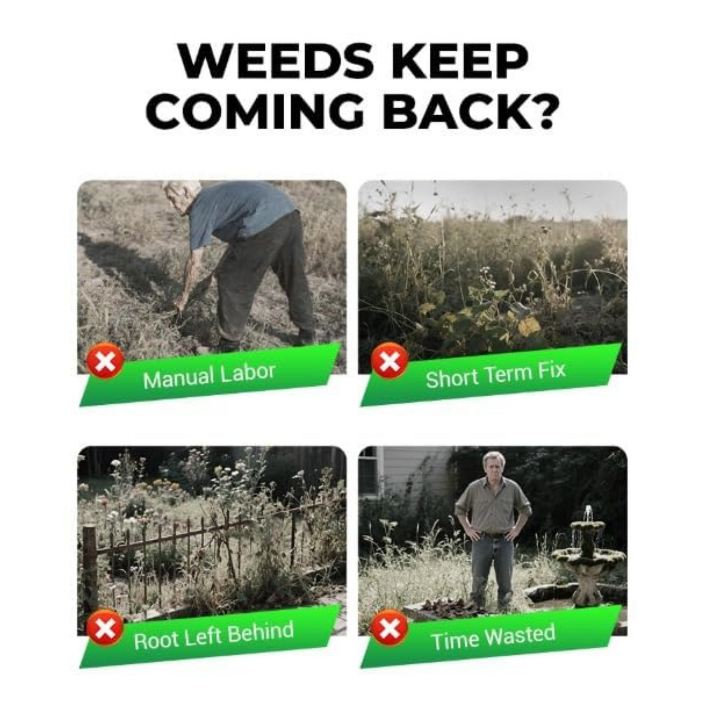 Cyclosinone Herbicide Granules (Pack Of 2)