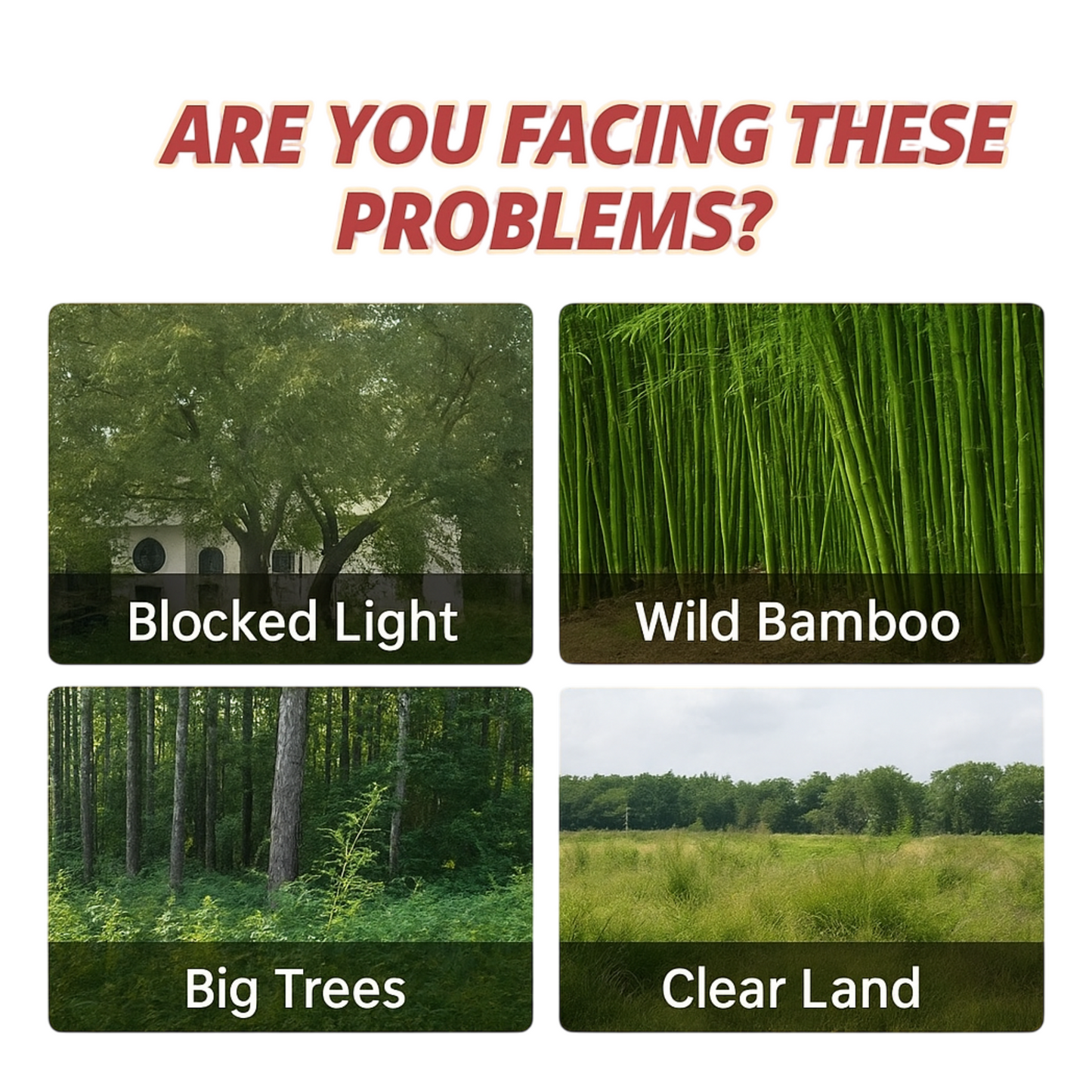 Cyclosinone Herbicide Granules (Pack Of 2)